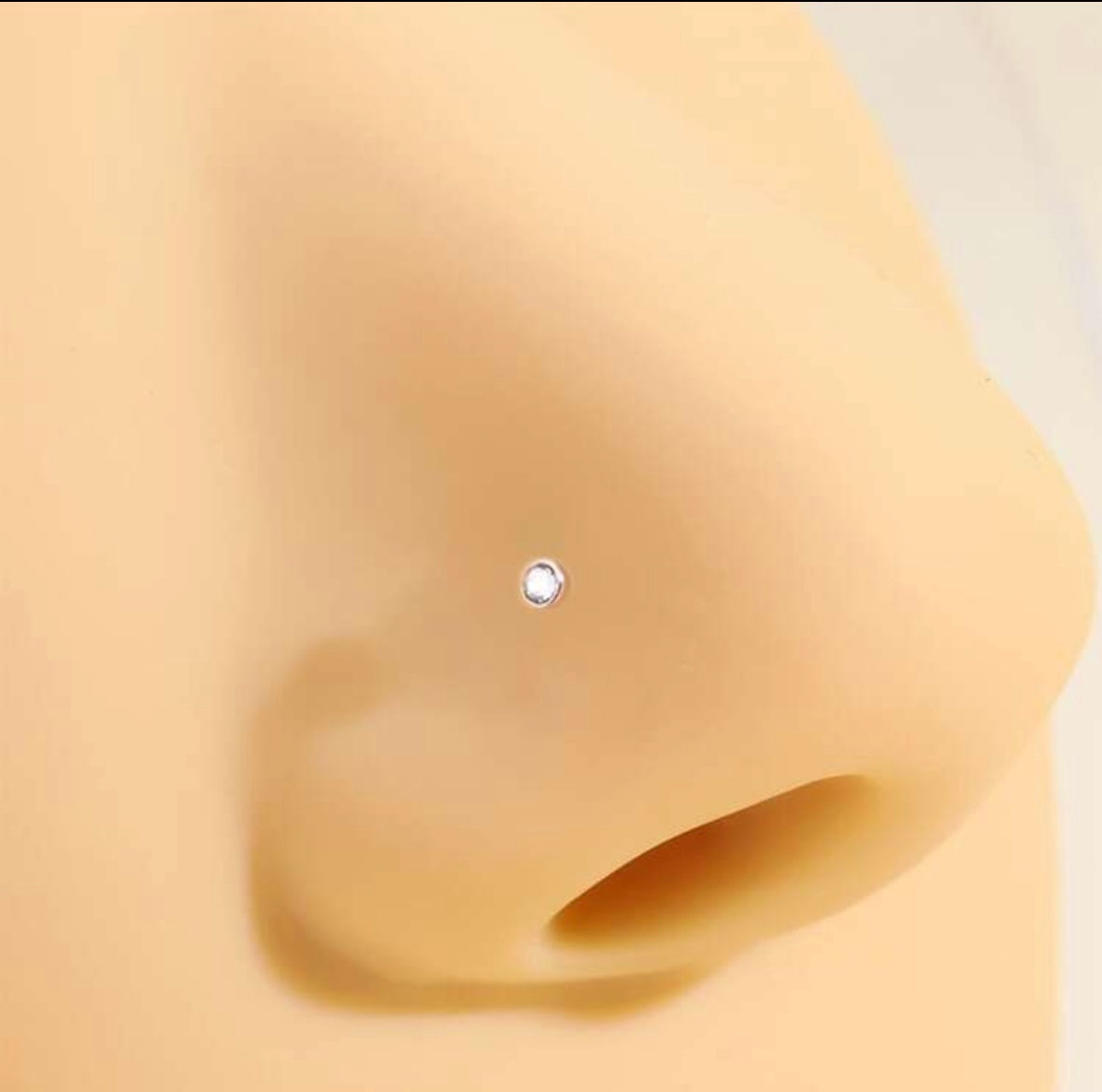 Shiny Stud Nose Piercing