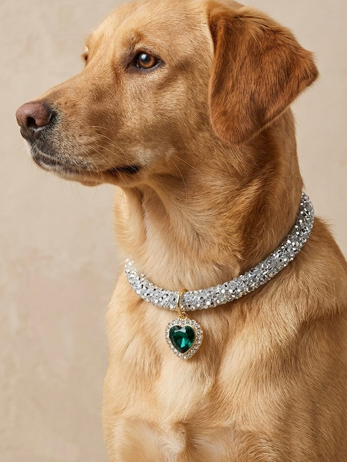 Bijou de Fidèle