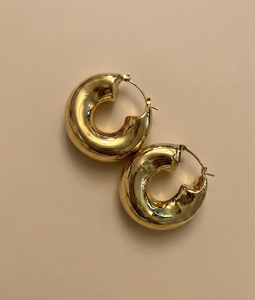 Haut de Gamme Earrings