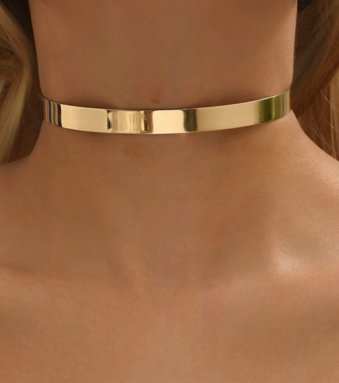 Elegant Simple Choker