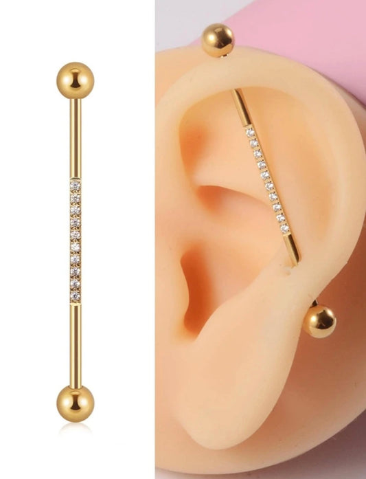 Golden Industrial Earring