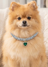 Bijou de Fidèle