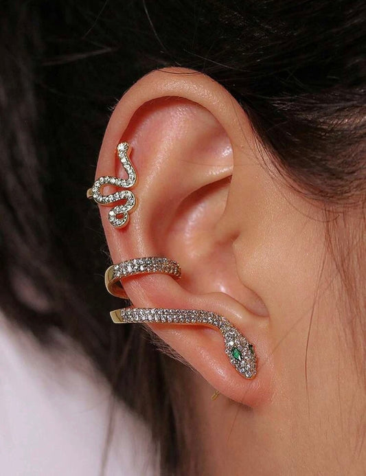 2 Pcs Set Snake Earrings