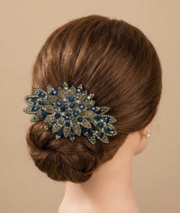 Charme de Cheveux Hair Clip